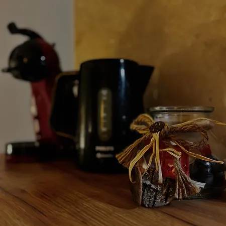 Rosa Brandis Lejlighed