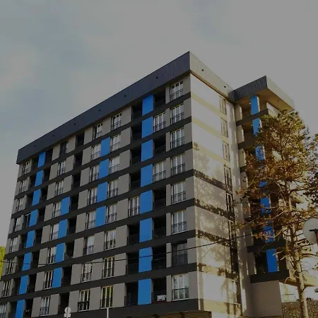 Rosa Brandis Travnik