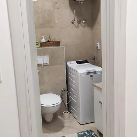 Rosa Brandis Cozy Travnik