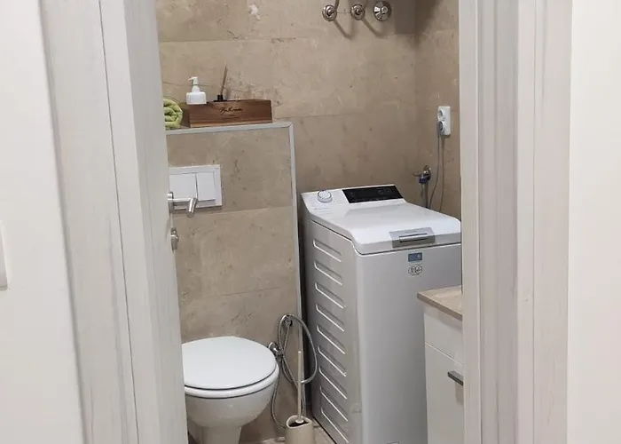 Rosa Brandis Cozy Travnik